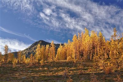 Manning Provincial Park im Herbst